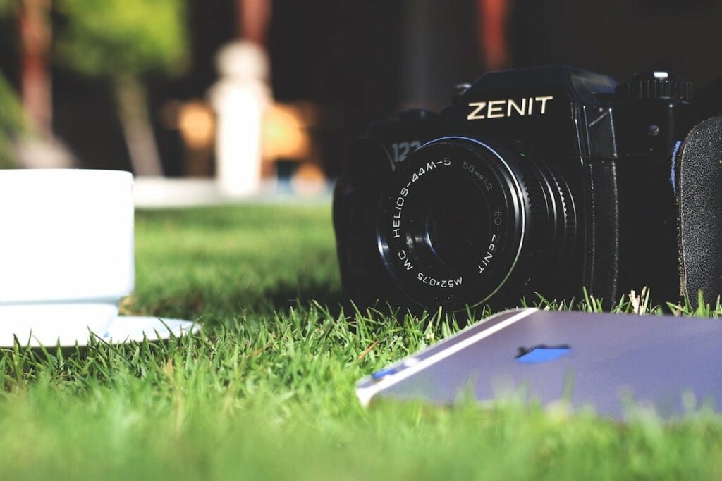 A Guide to Garden Photography