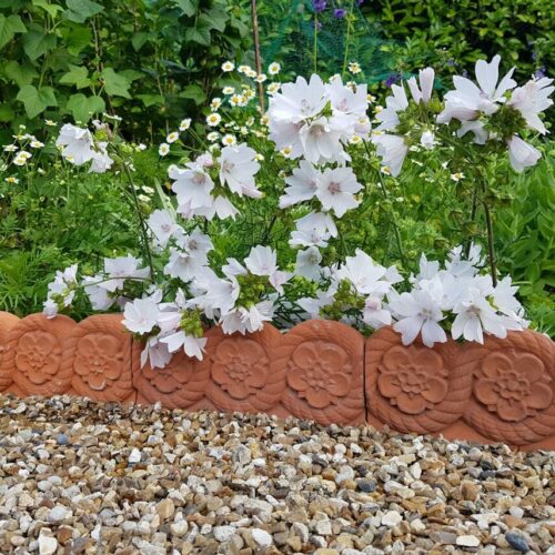Our Garden Edging Tips: Creative Patio Edging Ideas for 2026