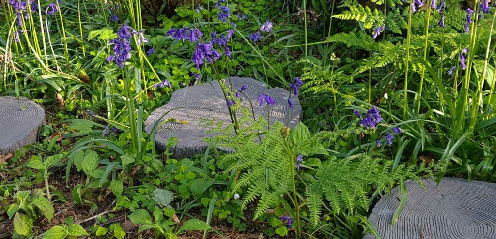 Top 5 Garden Stepping Stones
